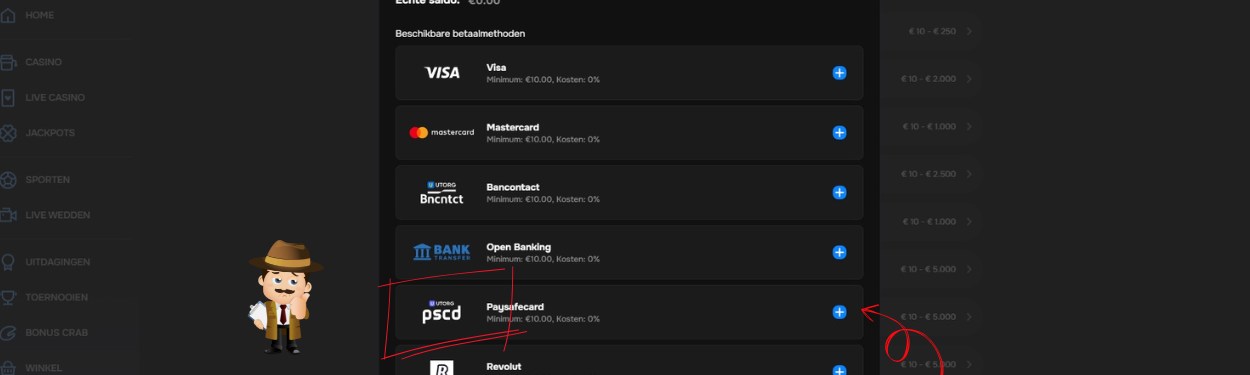 Storten bij Paysafe casino